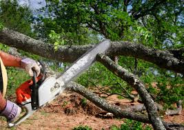 Best Firewood Processing and Delivery  in Lakeland South, WA